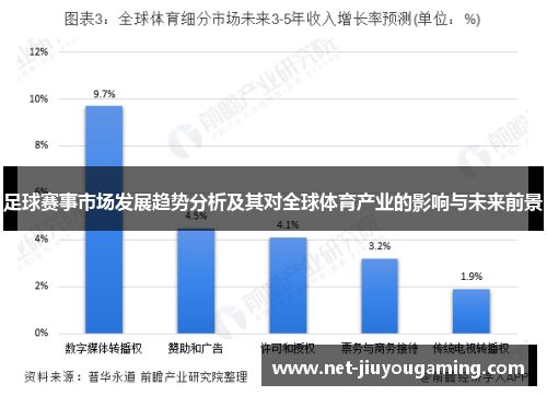 足球赛事市场发展趋势分析及其对全球体育产业的影响与未来前景