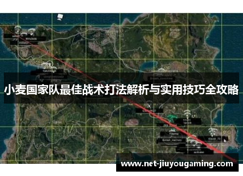 小麦国家队最佳战术打法解析与实用技巧全攻略