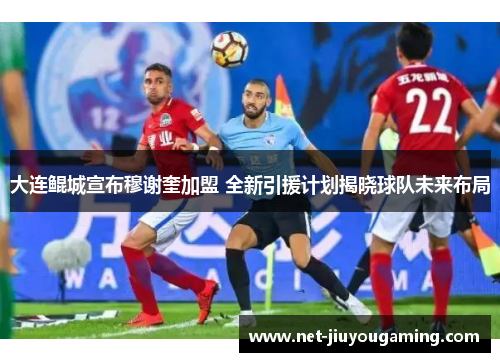 大连鲲城宣布穆谢奎加盟 全新引援计划揭晓球队未来布局