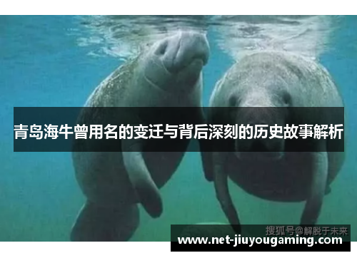 青岛海牛曾用名的变迁与背后深刻的历史故事解析