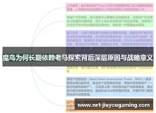 魔鸟为何长期依赖老马探索背后深层原因与战略意义
